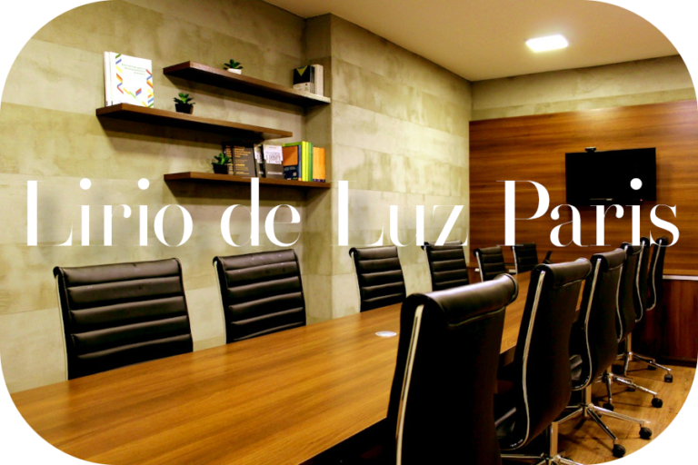Corporate governance in the Lirio de Luz Paris Company.